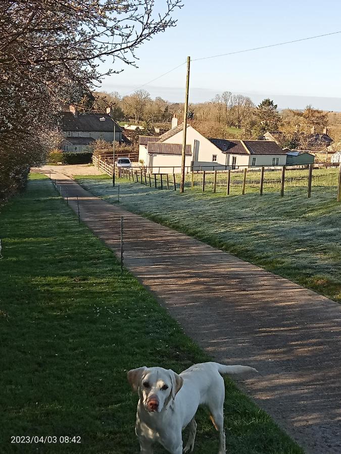 Rosegarth Bed And Breakfast Marton near Pickering Esterno foto