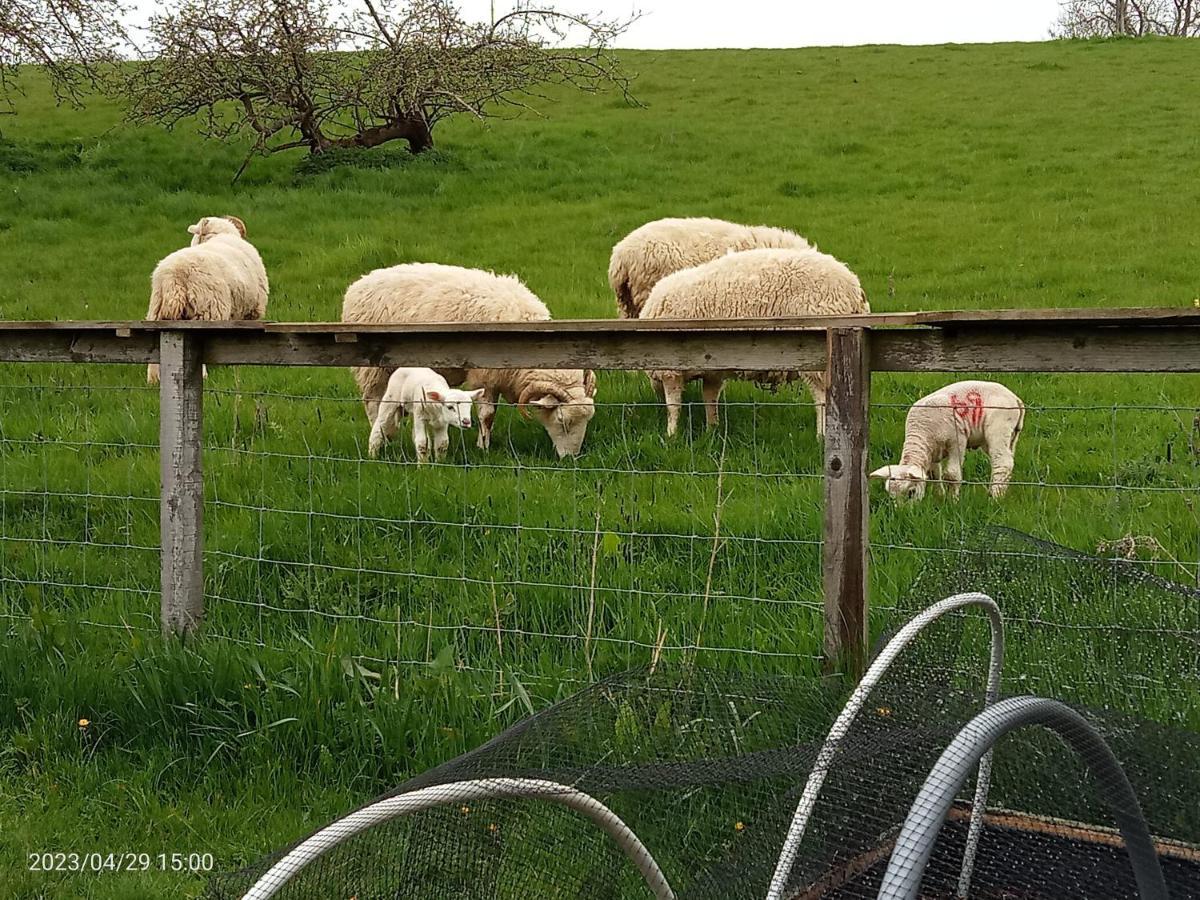 Rosegarth Bed And Breakfast Marton near Pickering Esterno foto