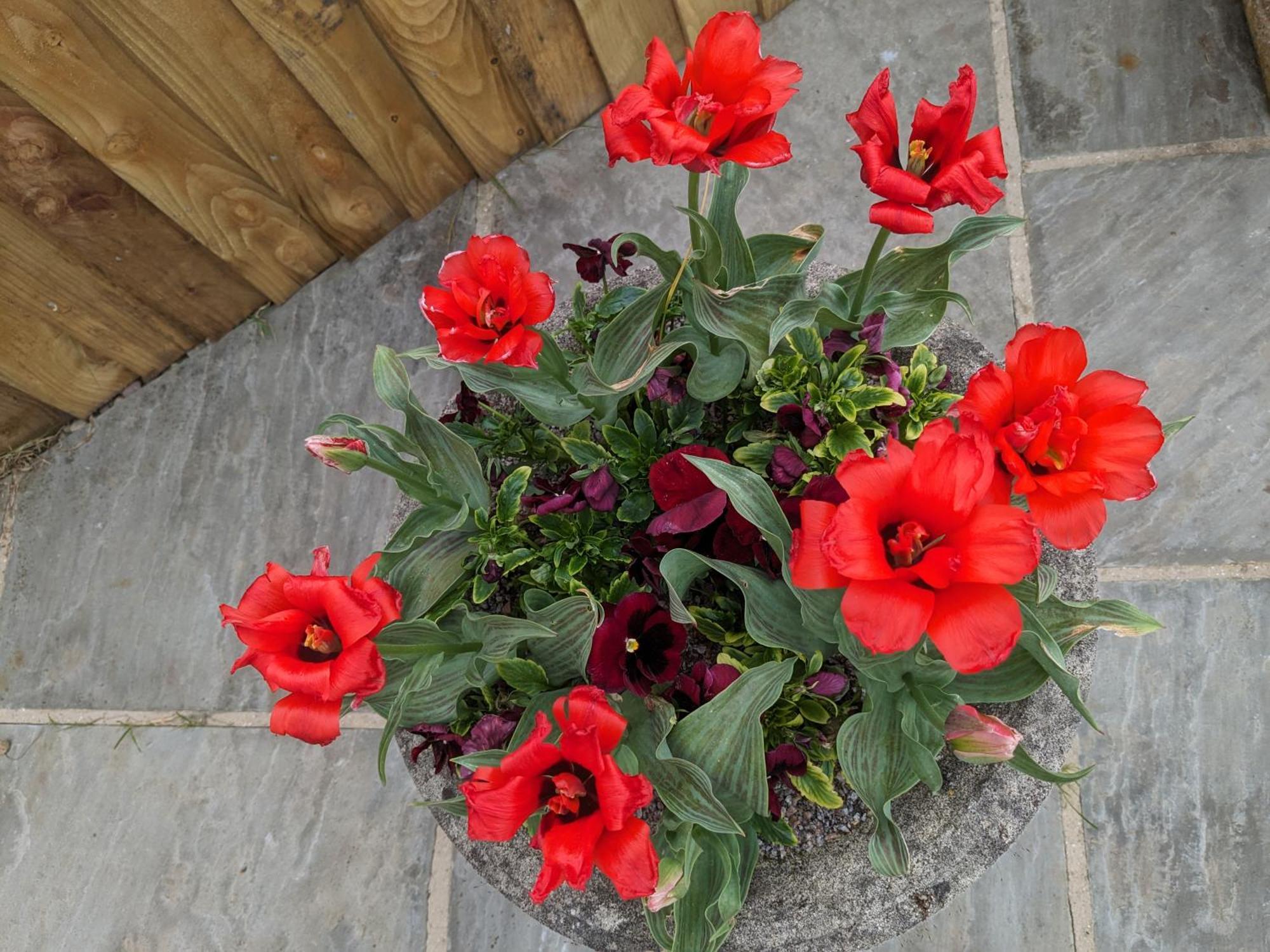 Rosegarth Bed And Breakfast Marton near Pickering Esterno foto